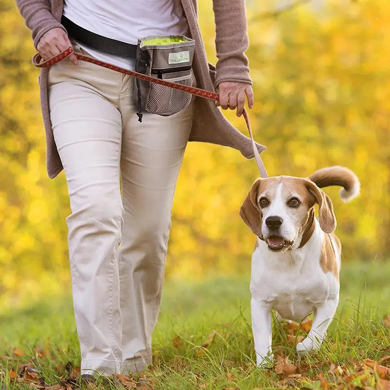 Dog Training Bag