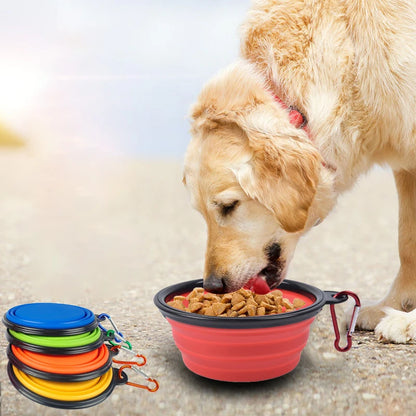 Collapsible Travel Pet Bowl